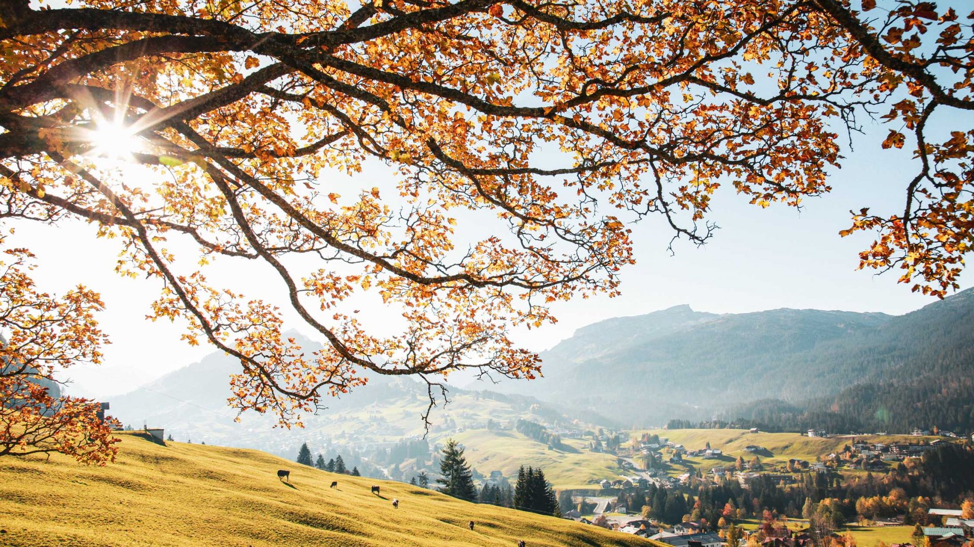 Erleben Sie bunte Herbsttage im Kleinwalsertal