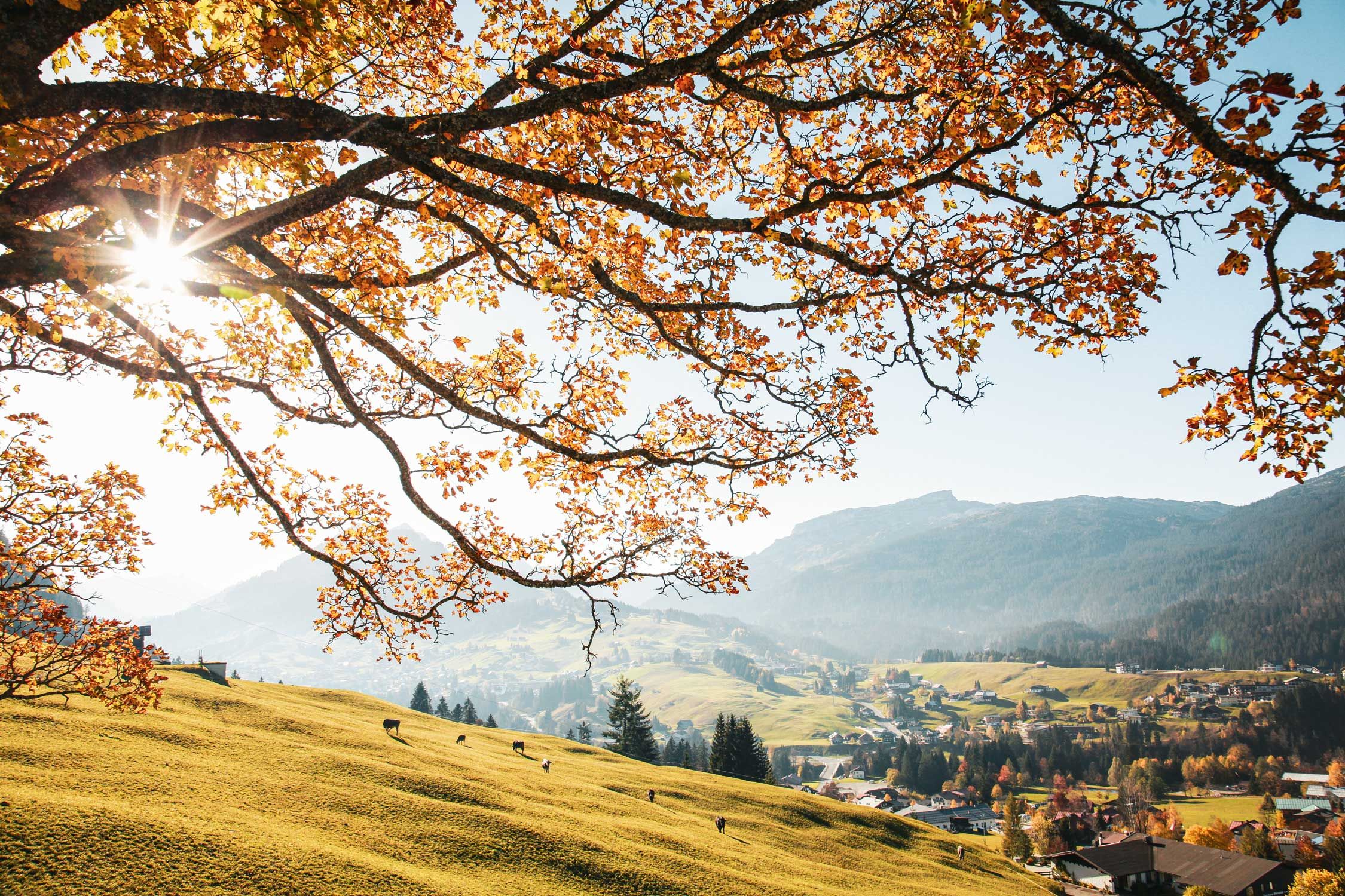 Erleben Sie bunte Herbsttage im Kleinwalsertal